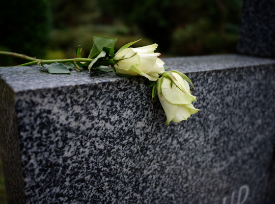 097de436dfa3cf68314b8fa06da3968f