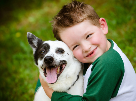 3049242bea841e0dcda51674d3d23fe6